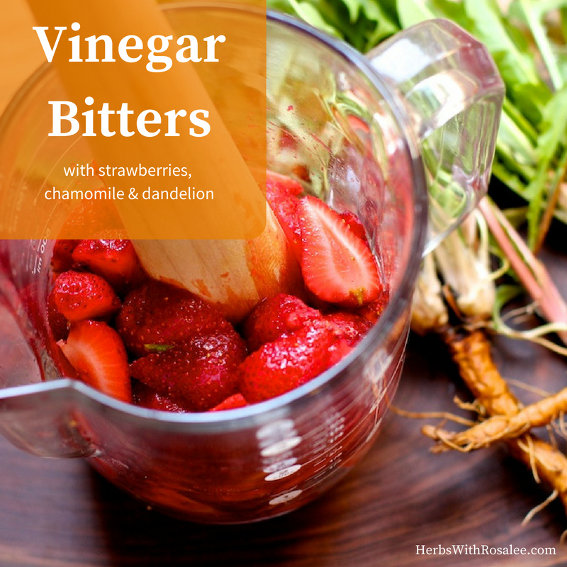 Vinegar Bitters