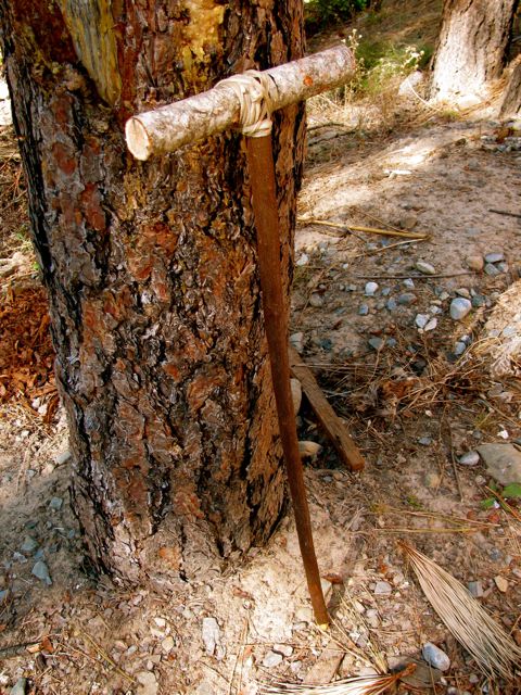 Traditional Digging Stick