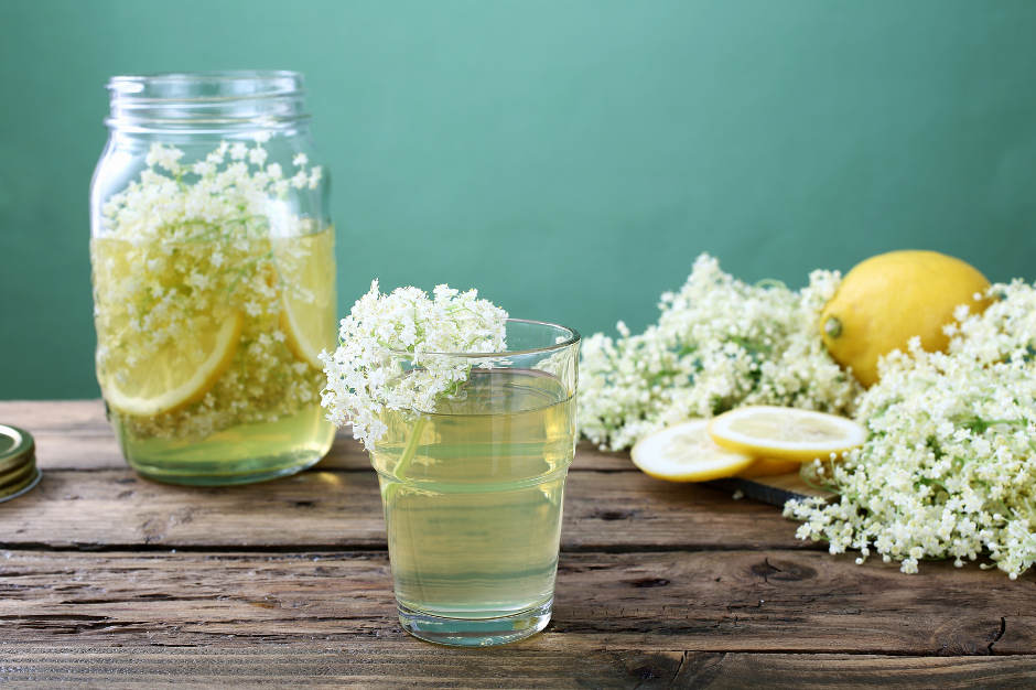 elderberry benefits