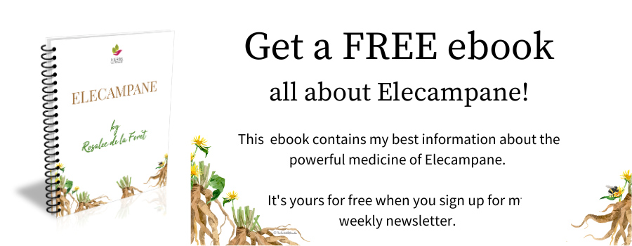 Elecampane ebook banner