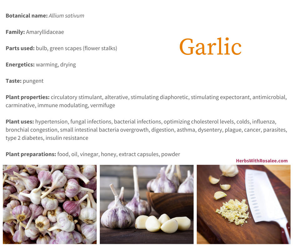 health benefits of garlic