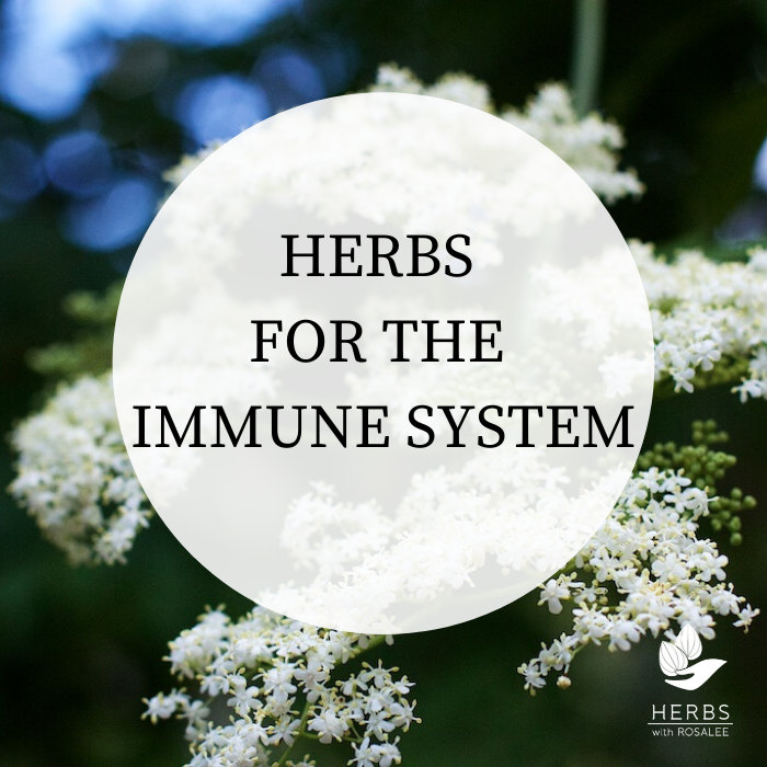 herbs for immunity