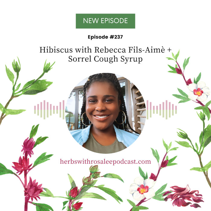 Hibiscus: A Surprising Respiratory Herb with Rebecca Fils-Aimé Hibiscus: A Surprising Respiratory Herb with Rebecca Fils-Aimé