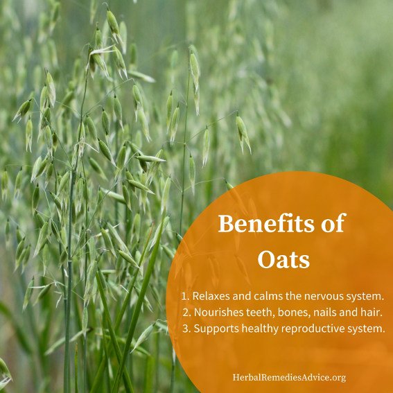 the benefits of oats