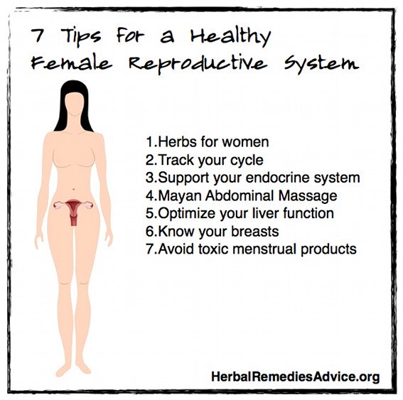 Female Reproductive System Health