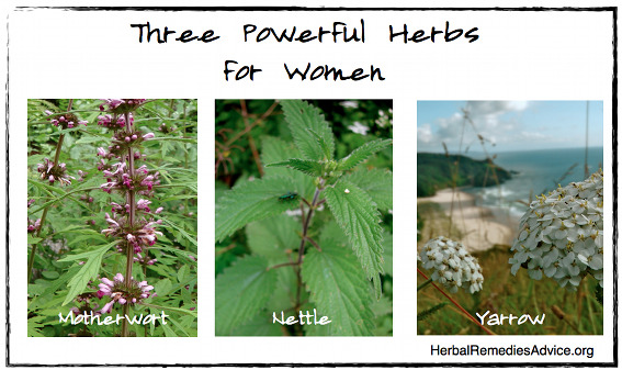 Herbs for Female Reproductive System