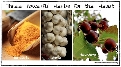 Three powerful herbs for cardiovascular health