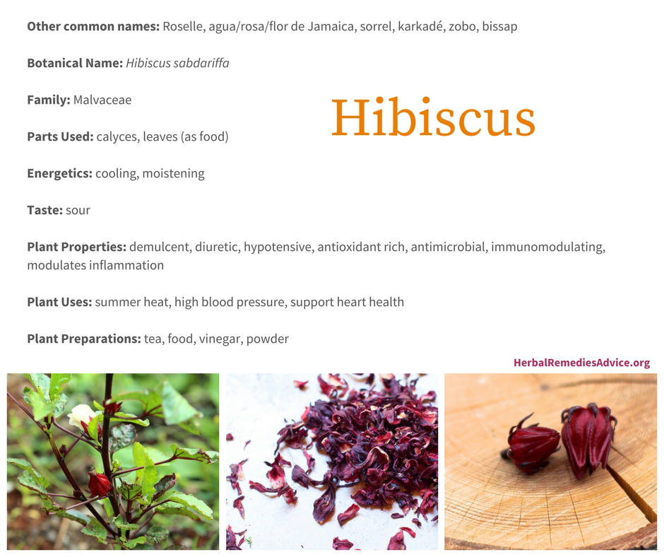 Benefits of Hibiscus