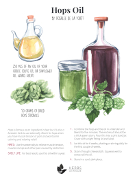 Hops Infused Oil Recipe