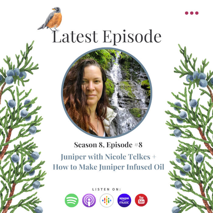 Benefits of juniper with Nicole Telkes