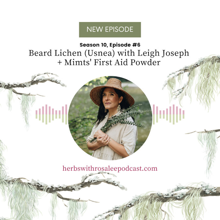 Usnea with Leigh Joseph