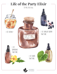 Life of the Party Elixir