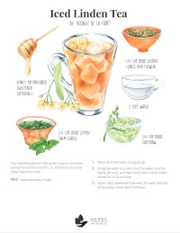 Iced Linden Tea Recipe