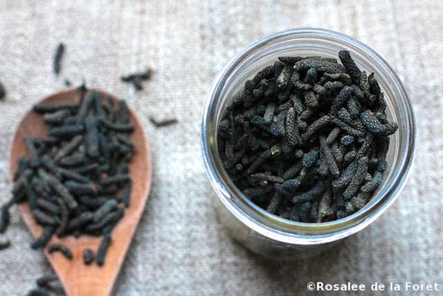 long black pepper