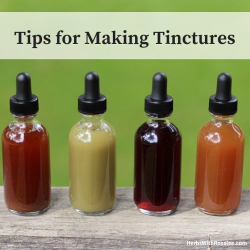 homemade herbal tinctures