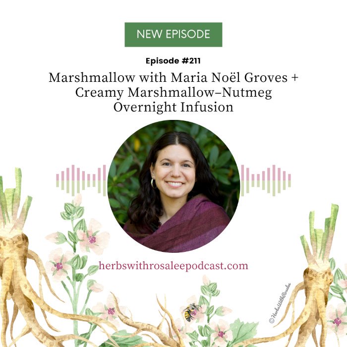 Marshmallow for Gut, Throat, and Tissue Support with Maria Noël Groves