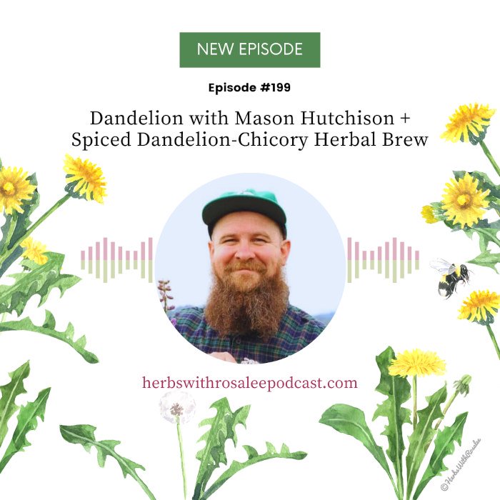Mason Hutchison dandelion podcast