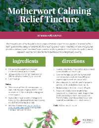 Motherwort calming relief tincture recipe