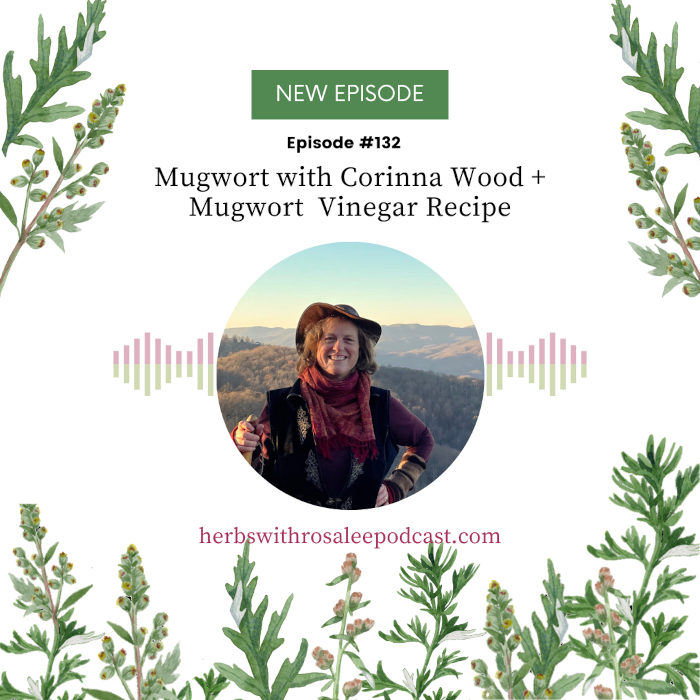 Mugwort with Corinna Wood