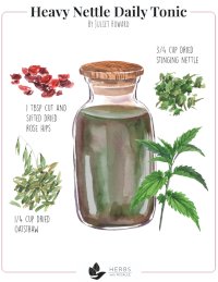 Nettle Daily Tonic Recipe Nettle Daily Tonic Recipe