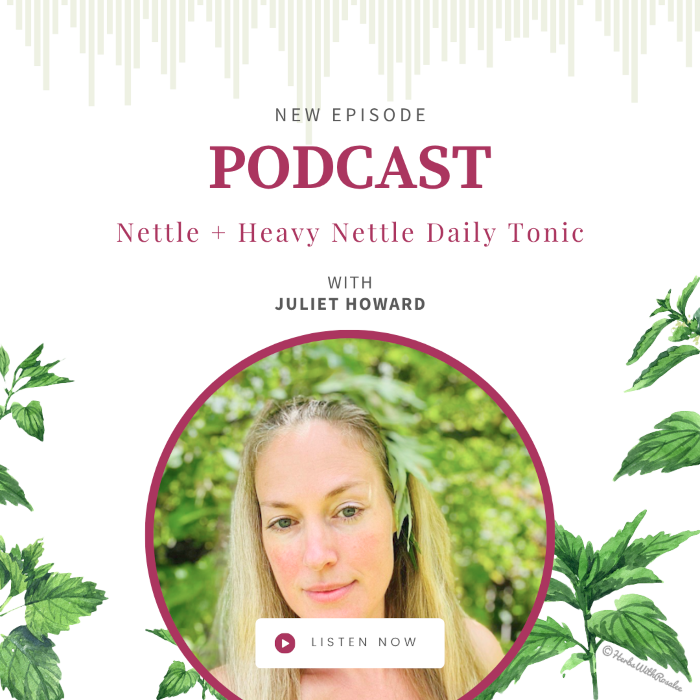 Stinging Nettle with Juliet Howard Stinging Nettle with Juliet Howard