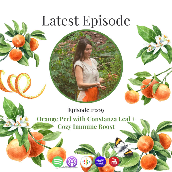 Orange Peel Remedies for Lungs, Digestion & Joy with Constanza Leal Orange Peel Remedies for Lungs, Digestion & Joy with Constanza Leal