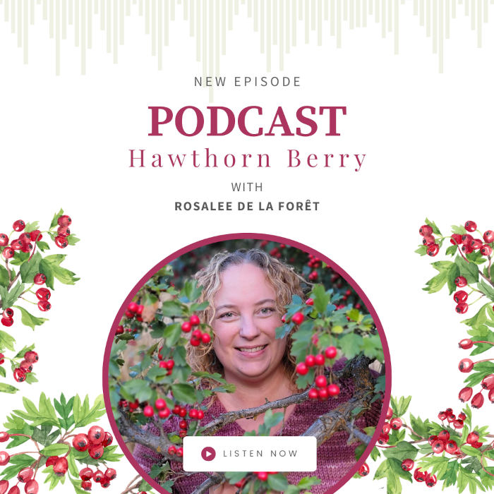 Hawthorn Berry Benefits