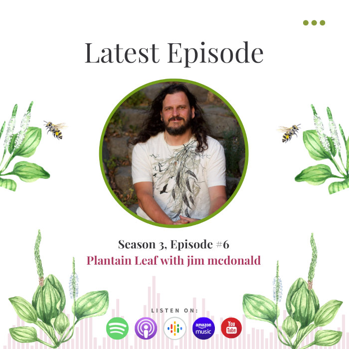 benefits of plantain with jim mcdonald