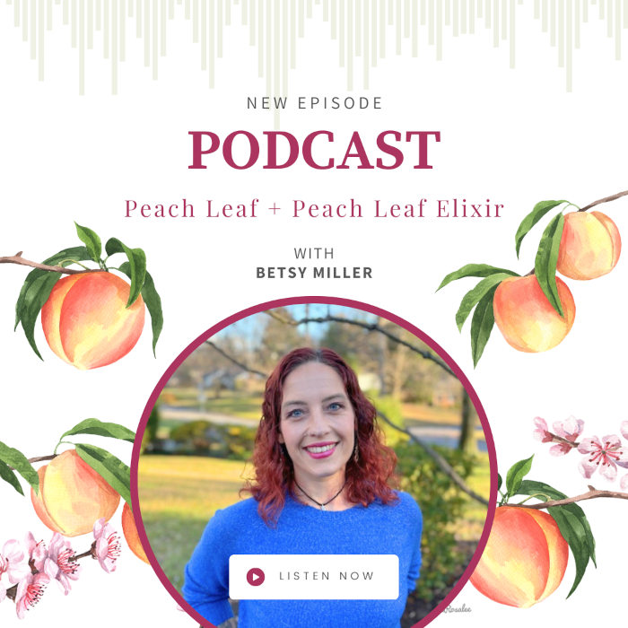 Peach Leaf for Nausea, Anxiety, and More with Betsy Miller