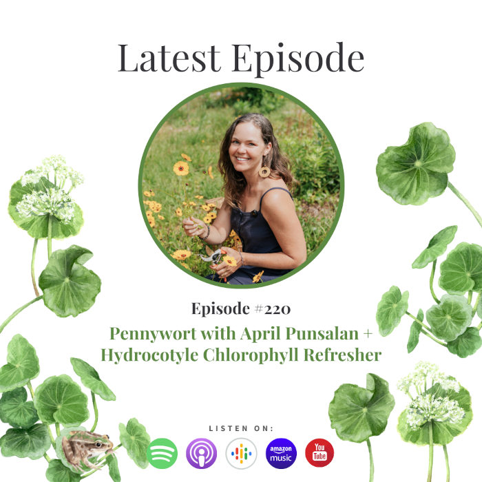 Before You Pull Pennywort, Listen to This - with April Punsalan