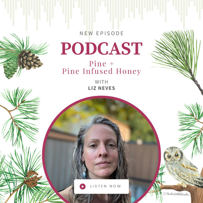 Pine with Liz Neves Pine with Liz Neves