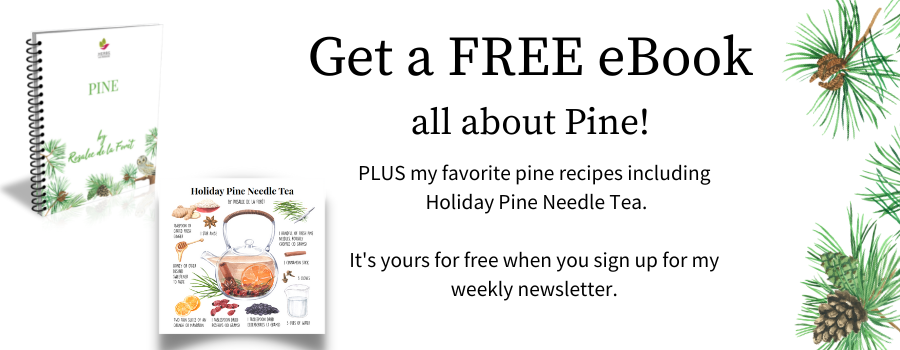 Pine Ebook Banner