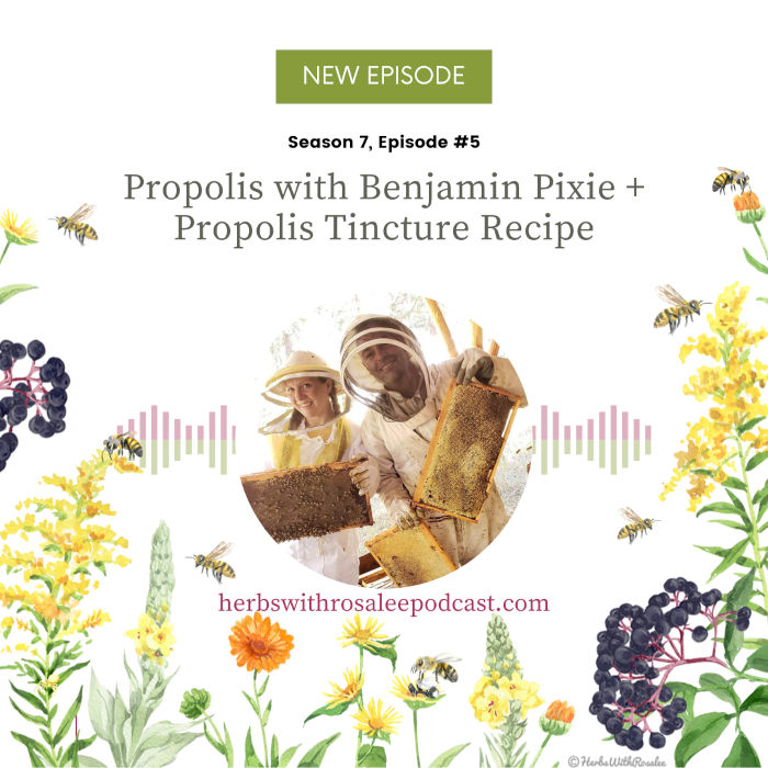 Propolis Benefts