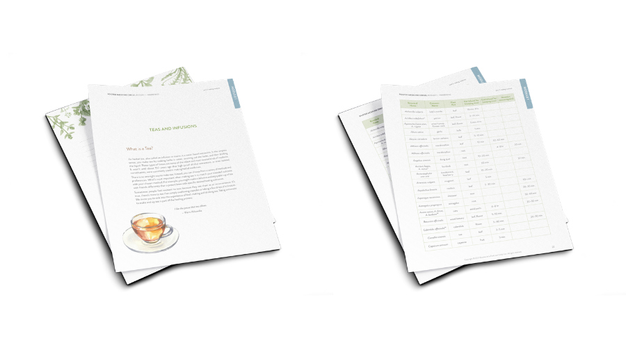 rooted medicine circle handouts rooted medicine circle handouts