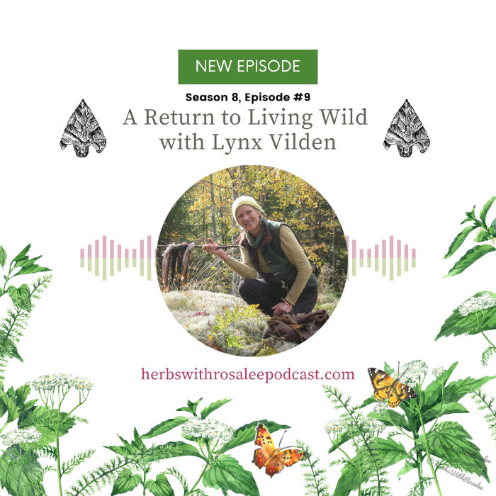 Return to Living Wild with Lynx Vilden