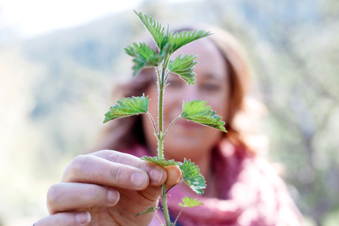 Rosalee with Stinging Nettle