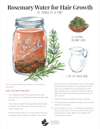 Rosemary Water for Hair Growth
