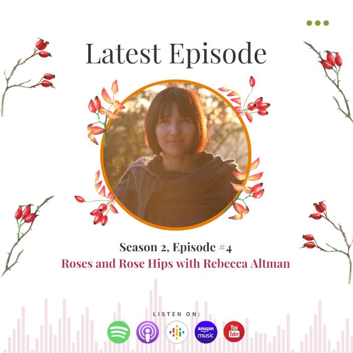Roses with Rebecca Altman