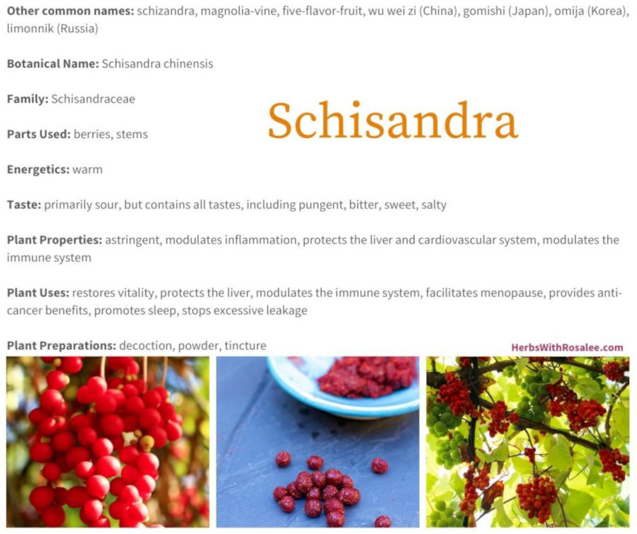 schisandra health benefits