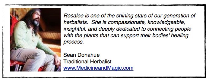 Testimonial from Sean Donahue