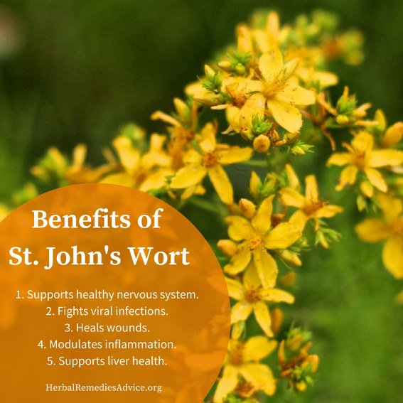 st johns wort uses