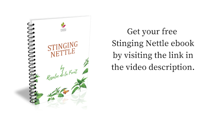 Stinging Nettle Ebook