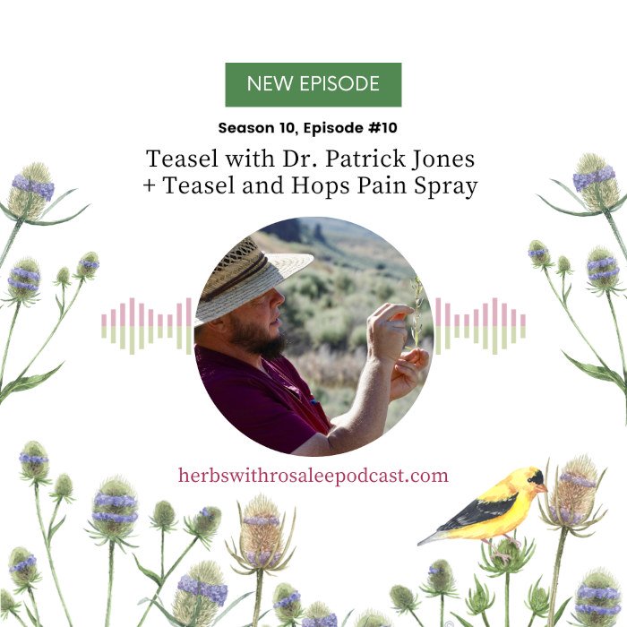 Teasel with Dr. Patrick Jones