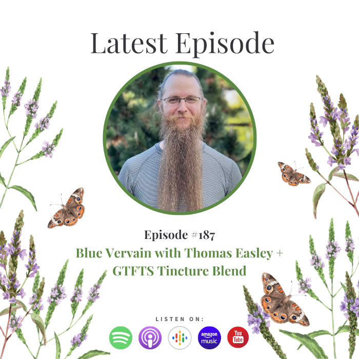 Blue Vervain with Thomas Easley