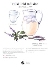 Tulsi Cold Infusion Recipe