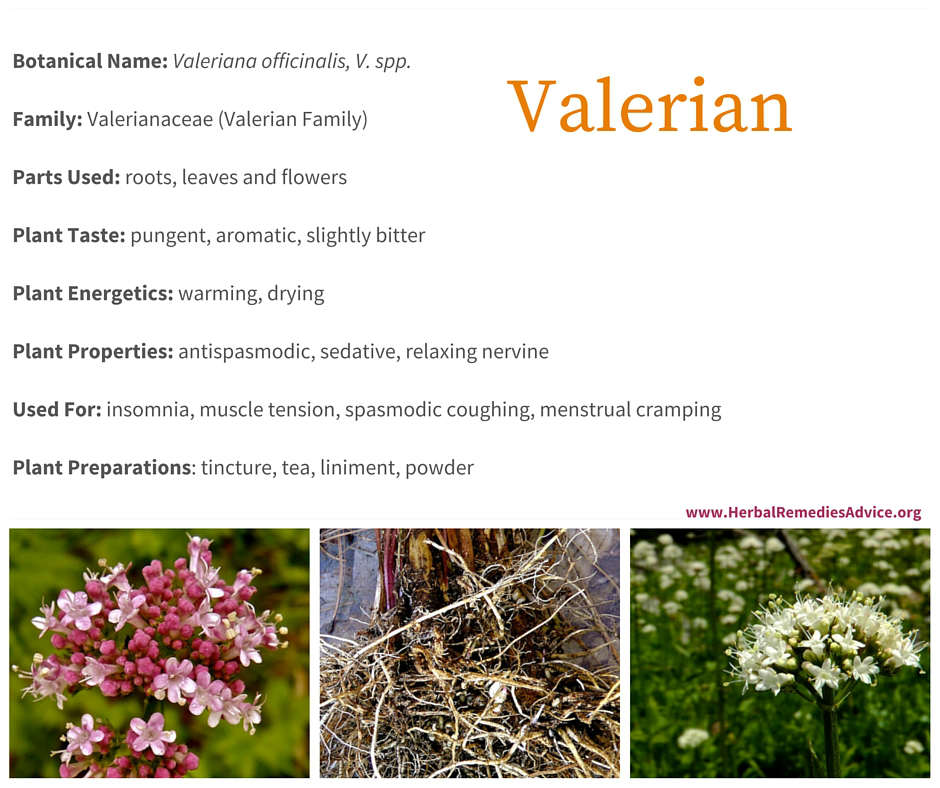 Valerian Benefits