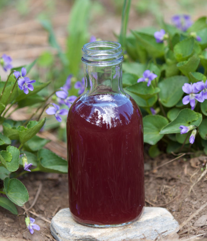 Violet Vinegar