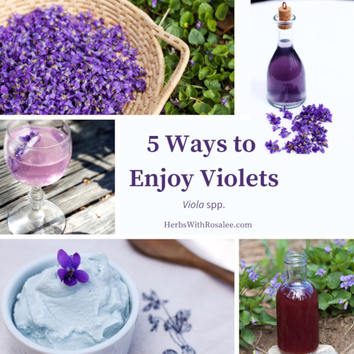 violet recipes