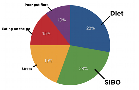 What causes IBS profile 2