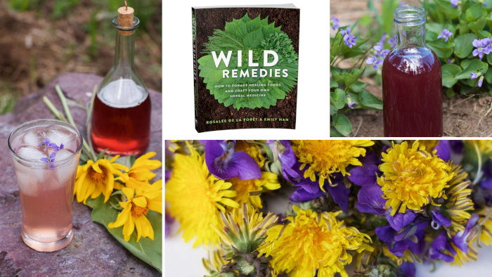 Wild Remedies and Violets